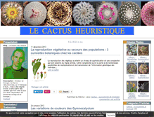 Tablet Screenshot of lecactusheuristique.com